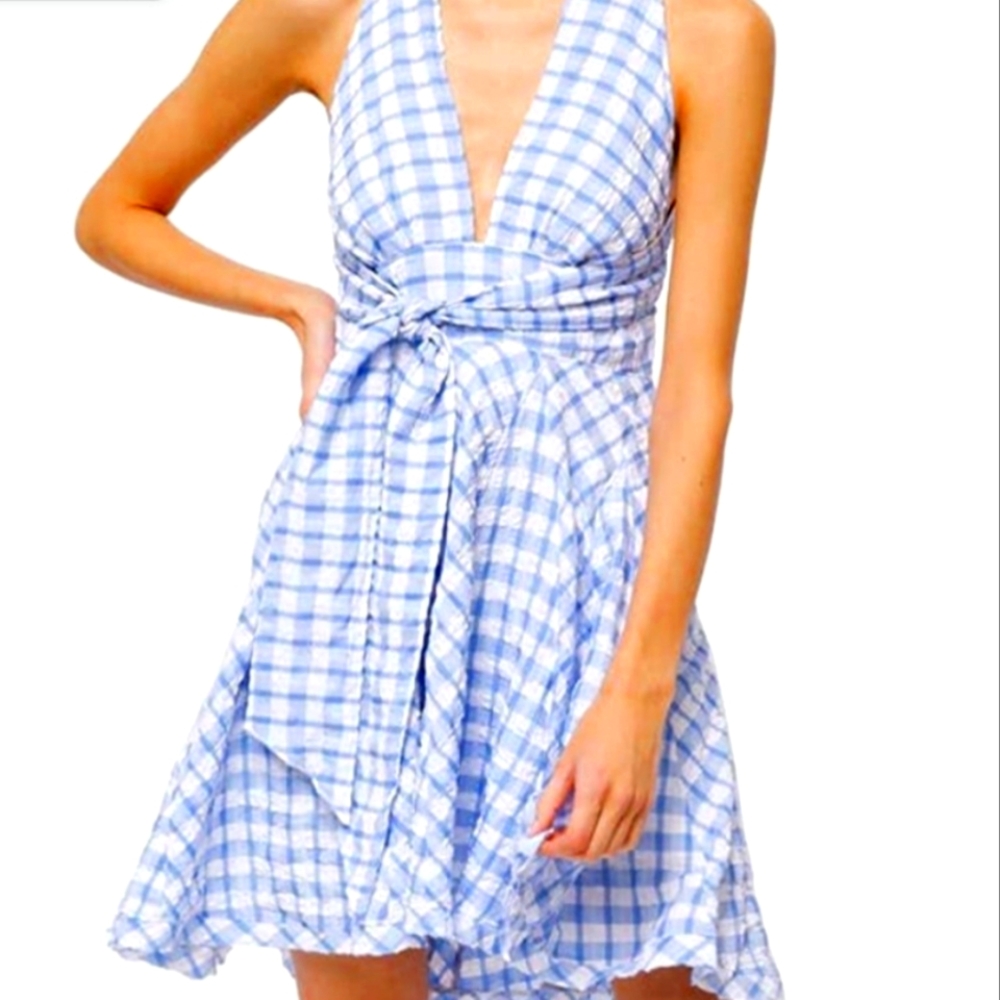 Never Worn - Free People Size 2 Dress